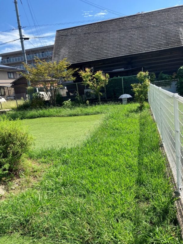  (外観)
